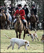 fox_hunting.jpg
