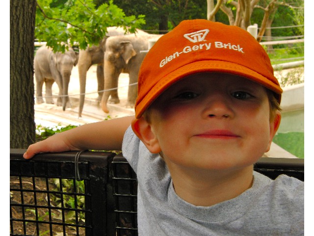Nathan & the Elephants