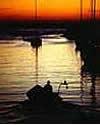 Rockport
