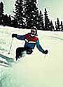 Snowbird