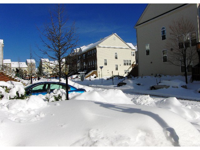 Blizzard