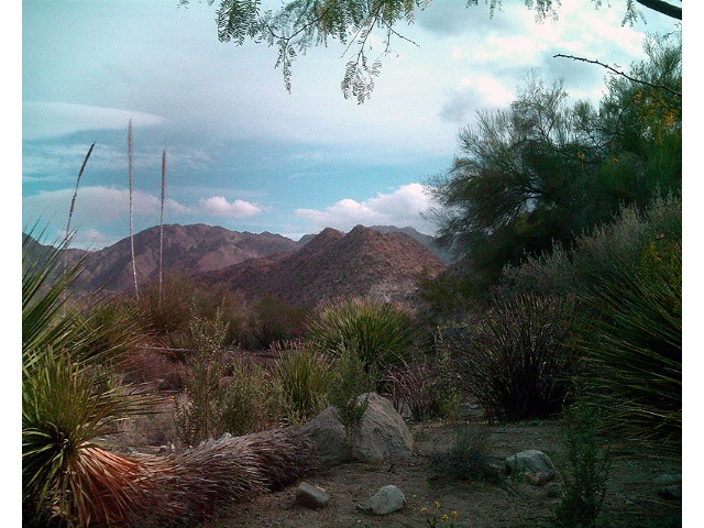 Desert View