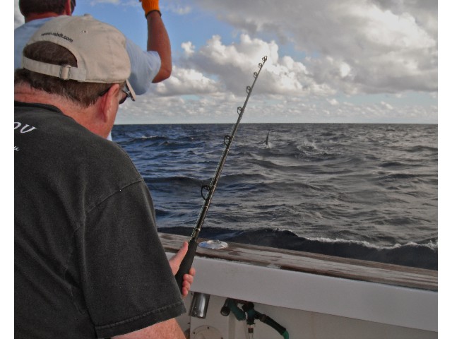 Sailfishing