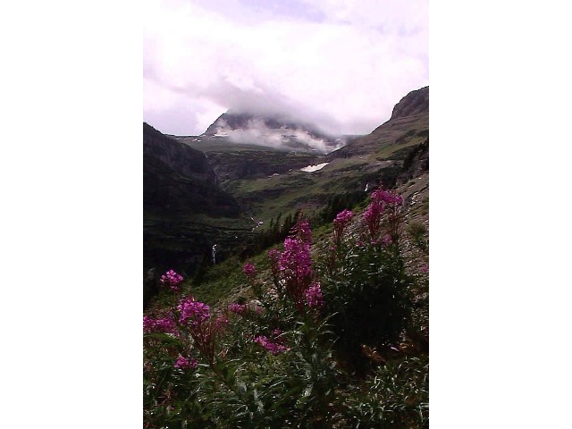 Glacier