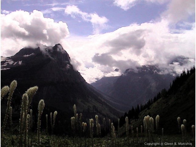 Logan Pass