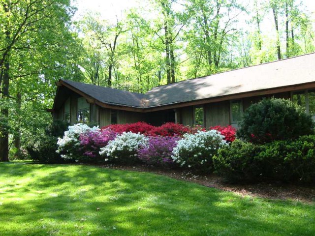 A Deacde In McLean