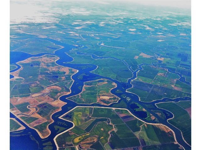 Sacramento River Delta